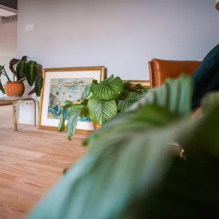 아파트 Luxurious Loft In Historic Centre Of Ghent 헨트
